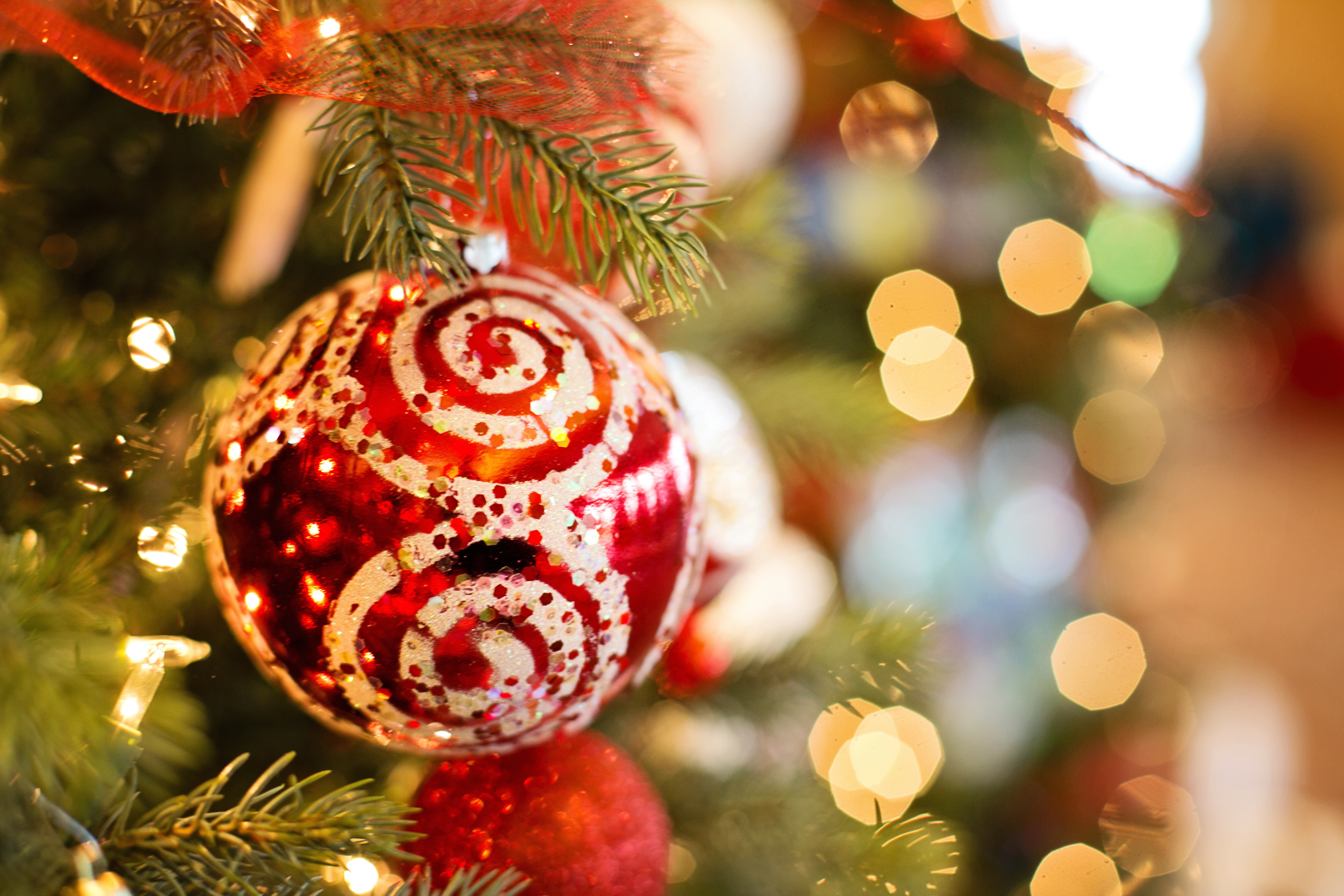 Christmas decorating tips to ensure your home stays pest free