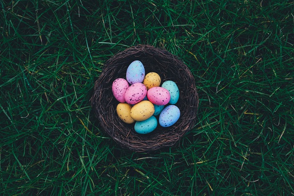 Pest proof your home for Easter with Progressive Pest Management's advice